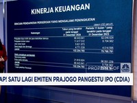 Video: Emiten Milik Prajogo Pangestu (CDIA) Mau IPO, Begini Prospeknya