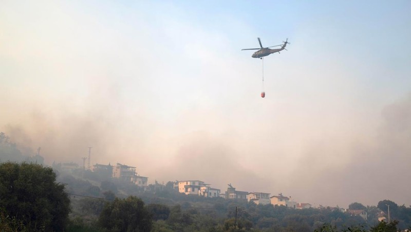 Kebakaran hutan melanda dekat rumah-rumah di Hatay, Turki pada Senin malam (30 Juni), dan warga dievakuasi menurut keterangan pejabat. (Tangkapan Layar Video Reuters/IHA)