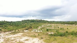 Siap-siap! Tanah Telantar 2 Tahun Bakal Diambil Negara