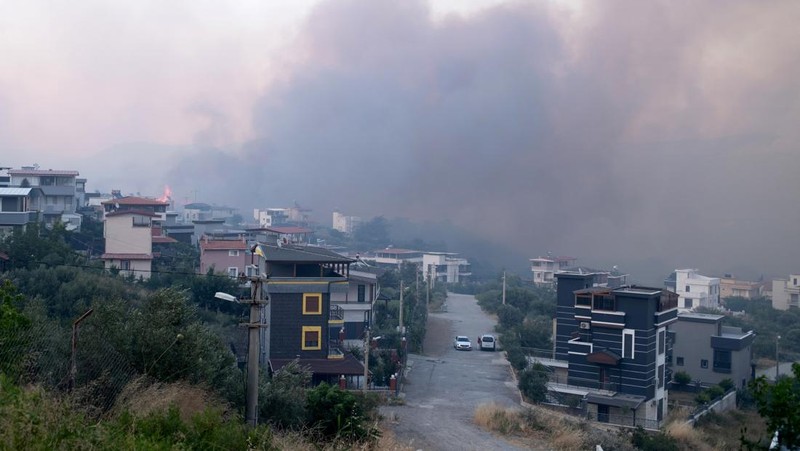 Kebakaran hutan melanda dekat rumah-rumah di Hatay, Turki pada Senin malam (30 Juni), dan warga dievakuasi menurut keterangan pejabat. (Tangkapan Layar Video Reuters/IHA)
