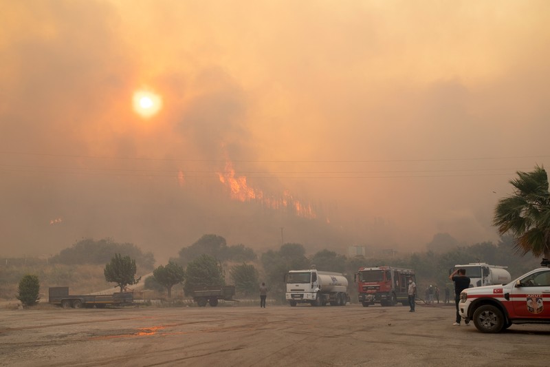 Kebakaran hutan melanda dekat rumah-rumah di Hatay, Turki pada Senin malam (30 Juni), dan warga dievakuasi menurut keterangan pejabat. (Tangkapan Layar Video Reuters/IHA)