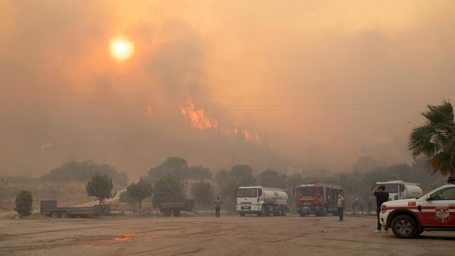 Kebakaran hutan melanda dekat rumah-rumah di Hatay, Turki pada Senin malam (30 Juni), dan warga dievakuasi menurut keterangan pejabat. (Tangkapan Layar Video Reuters/IHA)