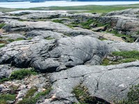 Ilmuwan Menemukan Batu Tertua di Bumi, Ini Bedanya dengan yang Lain