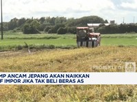 Video: Trump Ancam Jepang Naikkan Tarif Impor Jika Tak Beli Beras AS