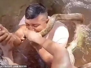 Dramatis! Pria Ini Selamat Usai Gigit Anaconda Raksasa