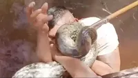 Gigit Anaconda Raksasa demi Hidup, Aksi Pria Ini Bikin Ngeri!
