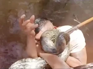 Gigit Anaconda Raksasa demi Hidup, Aksi Pria Ini Bikin Ngeri!