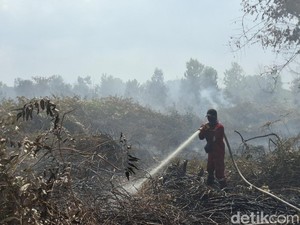 308 Ha Lahan di Riau Terbakar, Kampar dan Rohul Terluas