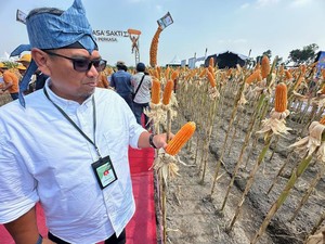 Kediri Jadi Kunci Perbenihan Jagung Nasional