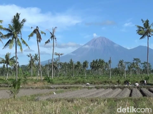 Gunung Semeru Erupsi Lagi, Status Masih Waspada