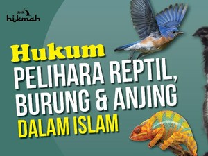 Hukum Memelihara Reptil, Burung dan Anjing dalam Islam
