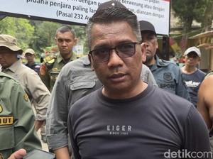 Seekor Bayi Harimau Sumatera Mati di Taman Margasatwa Bukittinggi