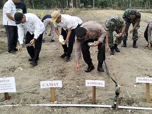 Dukung Ketahanan Pangan, Polisi Tanam Jagung Pipil di Kuansing