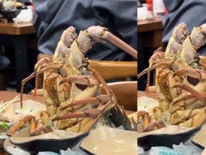 Viral Restoran Diduga Sajikan Lobster Hidup, Bikin Netizen Marah