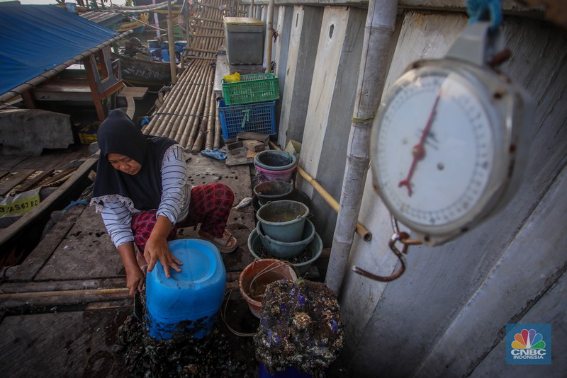 Suasana aktivitas warga di dekat tanggul laut Dadap, Kabupaten Tangerang, Banten, Rabu (2/7/2025). Suasana aktivitas warga di dekat tanggul laut Dadap, Kabupaten Tangerang, Banten, Rabu (2/7/2025). (CNBC Indonesia/Faisal Rahman)