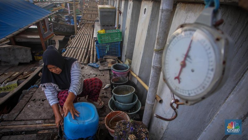 Suasana aktivitas warga di dekat tanggul laut Dadap, Kabupaten Tangerang, Banten, Rabu (2/7/2025). (CNBC Indonesia/Faisal Rahman)