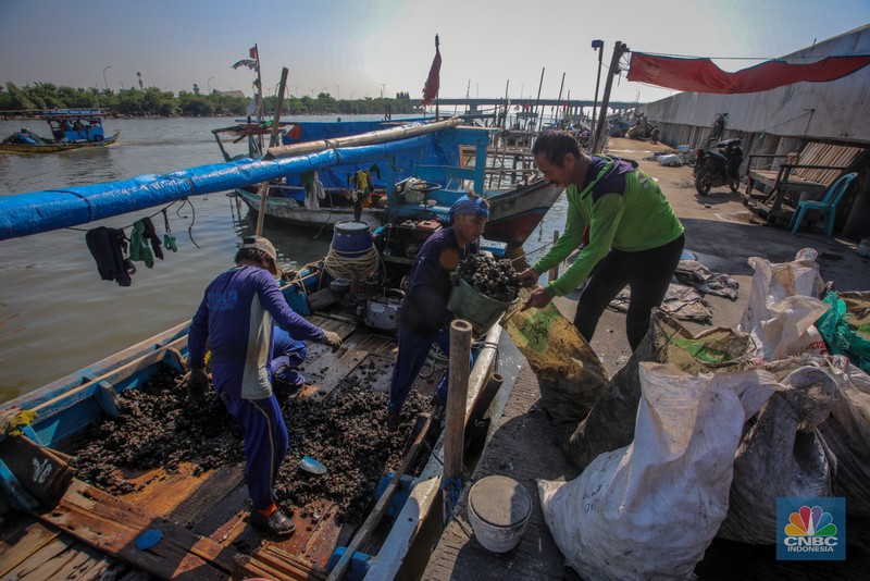 Suasana aktivitas warga di dekat tanggul laut Dadap, Kabupaten Tangerang, Banten, Rabu (2/7/2025). Suasana aktivitas warga di dekat tanggul laut Dadap, Kabupaten Tangerang, Banten, Rabu (2/7/2025). (CNBC Indonesia/Faisal Rahman)