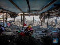 Warga melepaskan daging kerang hijau dari cangkangnya di perkampungan nelayan kawasan Dadap, Kabupaten Tangerang, Rabu (2/6/2025). (CNBC Indonesia/Faisal Rahman)