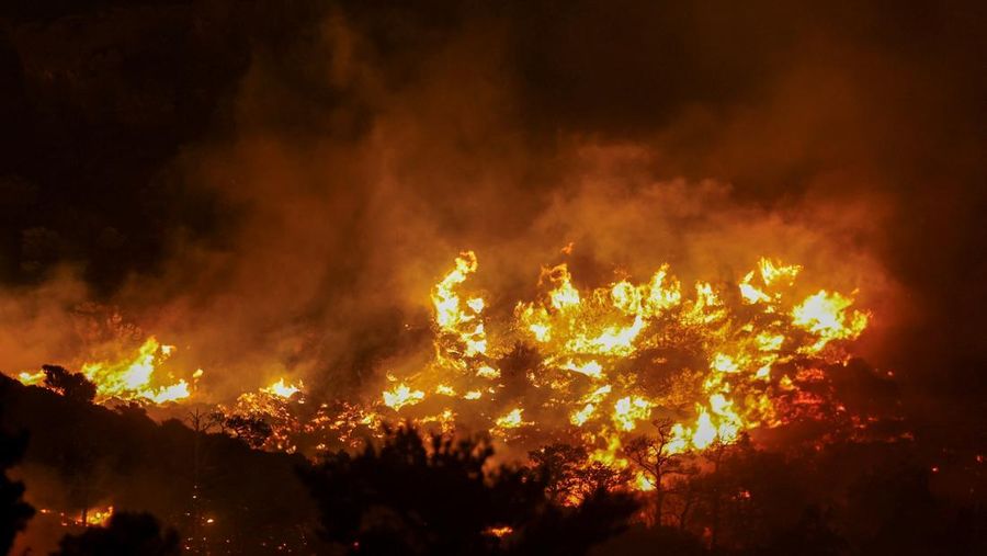 Api membubung saat kebakaran rimba melanda dekat Ierapetra, di Pulau Kreta, Yunani, 2 Juli 2025. (REUTERS/Stefanos Rapanis)