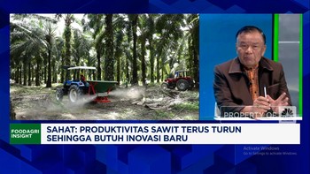 Video: Simak! Begini Cara Replanting Sawit Tak Keluar Duit