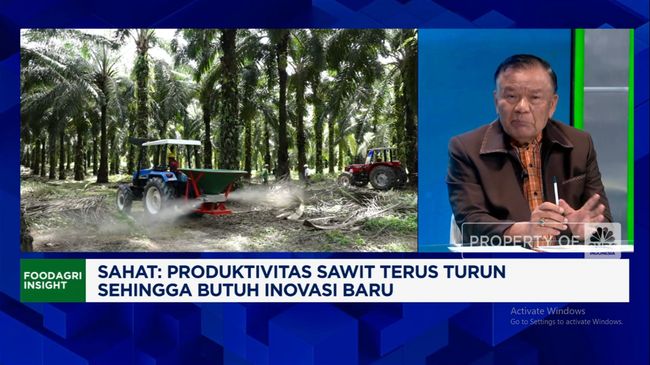 Video: Simak! Begini Cara Replanting Sawit Tak Keluar Duit
