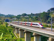 Melaju Kencang dalam Utang: Dari BUMN Hingga Negara