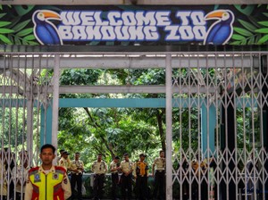 Bandung Zoo Ditutup gegara Konflik, Kemenhut Diminta Kaji Izin Pengelolaan