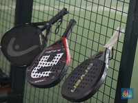 Padel Kena Pajak 10%, Ditjen Pajak Buka Suara