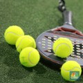 Padel olahraga yang memadukan elemen tenis dan squash di Padel Arena Jakarta, Jakarta, Kamis (03/7/2025). (CNBC Indonesia/Muhammad Sabki)