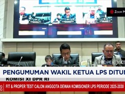 Video: DPR Ungkap Alasan Pengumuman Wakil Ketua LPS Ditunda