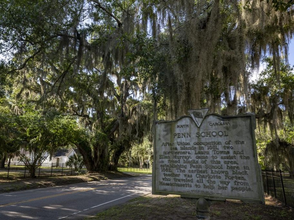 Keunikan Pulau Saint Helena: Sejarah Napoleon dan Surga Konservasi Laut