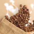 Peneliti Ungkap Waktu Minum Kopi yang Bisa Cegah Mati Muda