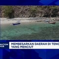 Video:Bupati Masinton Soroti Illegal Fishing Marak, Daerah Tak Berdaya