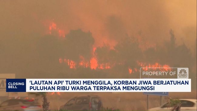 Video: 'Lautan Api' di Turki, Ribuan Orang Mengungsi