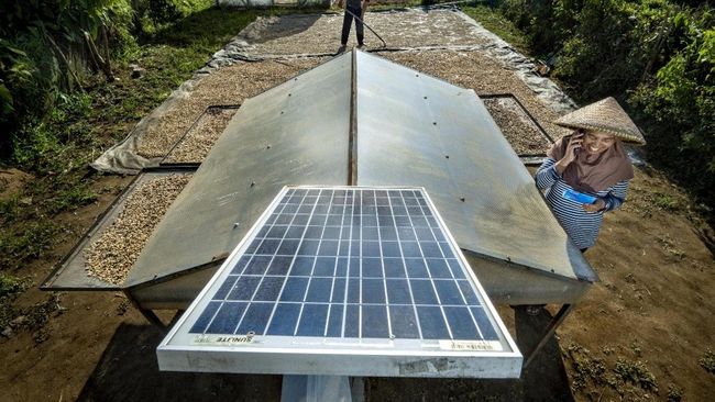 Komitmen Jadi World Class Sustainable Banking Group, BRI Perkuat SDGs