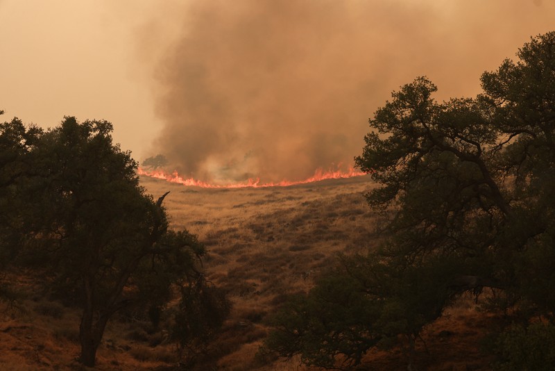 Kolom asap mengepul dari Kebakaran Madre dekat New Cuyama, California, AS, 3 Juli 2025. Kolom asap mengepul dari Kebakaran Madre dekat New Cuyama, California, AS, 3 Juli 2025. (REUTERS/David Swanson)