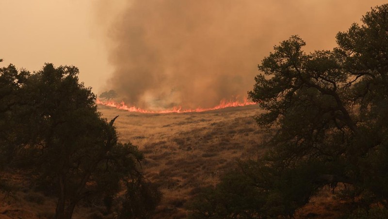 Kolom asap mengepul dari Kebakaran Madre dekat New Cuyama, California, AS, 3 Juli 2025. (REUTERS/David Swanson)