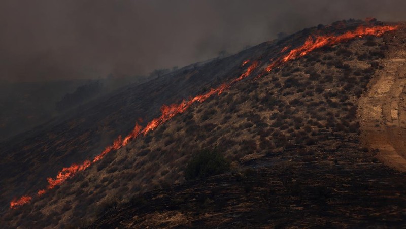 Kolom asap mengepul dari Kebakaran Madre dekat New Cuyama, California, AS, 3 Juli 2025. (REUTERS/David Swanson)