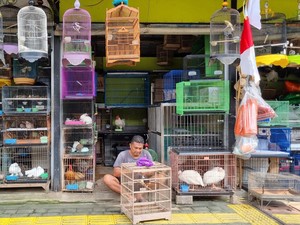 66 Pedagang Burung di Barito Jaksel Dipindah ke Lenteng Agung Bulan Depan