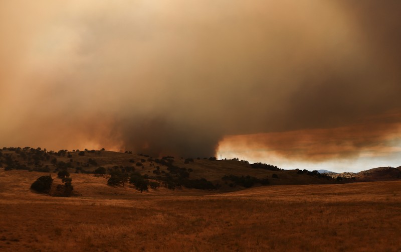 Kolom asap mengepul dari Kebakaran Madre dekat New Cuyama, California, AS, 3 Juli 2025. (REUTERS/David Swanson)