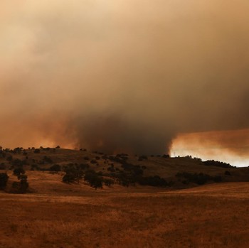 Malapetaka Hantam California, Langit Memerah-Daratan Jadi 'Laut' Api