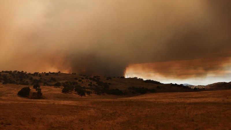 Kolom asap mengepul dari Kebakaran Madre dekat New Cuyama, California, AS, 3 Juli 2025. (REUTERS/David Swanson)