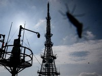 Penampakan Hama Kutu Cinta Serang Korsel, Warga Pusing