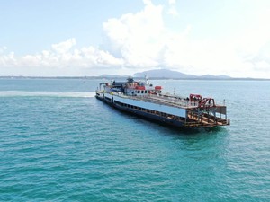 Jurus MIND ID Jaga Ekosistem Flora-Fauna Laut Lewat Program Berkelanjutan