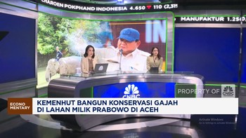 Video: Main Padel Kena Pajak 10% - Wajib Militer Bagi Wanita Denmark
