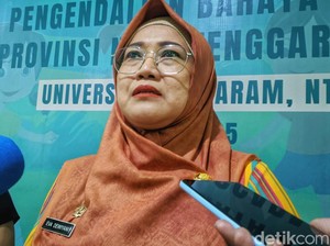 Proyek Kereta Gantung Rinjani Jalan Terus, Pemprov NTB Tunggu Amdal
