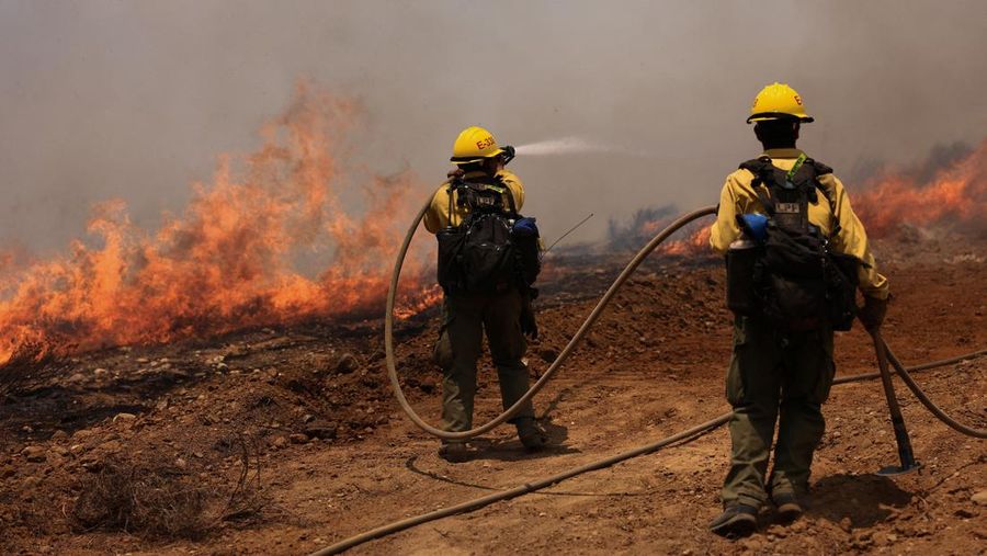 Kolom asap mengepul dari Kebakaran Madre dekat New Cuyama, California, AS, 3 Juli 2025. (REUTERS/David Swanson)