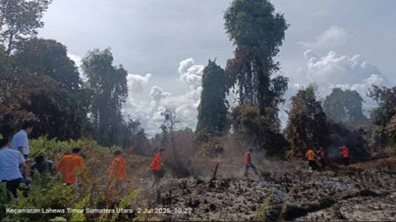 Tim gabungan melakukan pemadaman karhutla yang terjadi di Desa Turpuk Limbong, Kecamatan Harian, Kabupaten Samosir, Sumatera Utara, pada Selasa (1/7/2025). Tim gabungan melakukan pemadaman karhutla yang terjadi di Desa Turpuk Limbong, Kecamatan Harian, Kabupaten Samosir, Sumatera Utara, pada Selasa (1/7/2025). (Dok. BPBD Kabupaten Samosir)