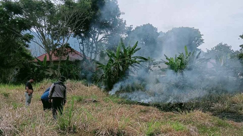 Tim gabungan melakukan pemadaman karhutla yang terjadi di Desa Turpuk Limbong, Kecamatan Harian, Kabupaten Samosir, Sumatera Utara, pada Selasa (1/7/2025). (Dok. BPBD Kabupaten Samosir)