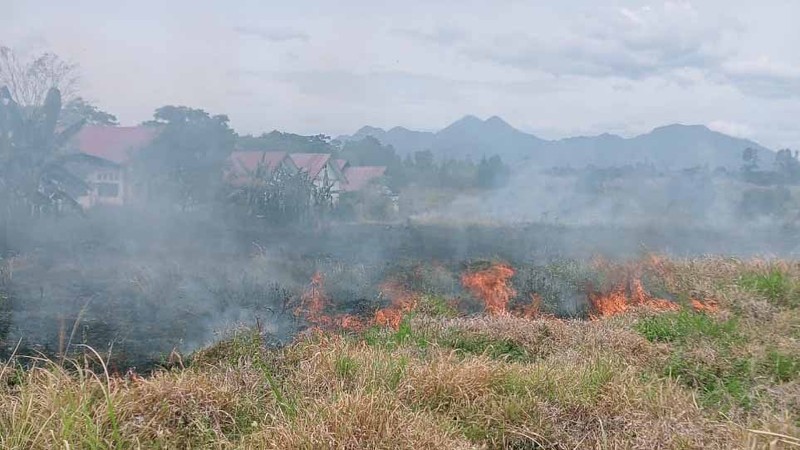 Tim gabungan melakukan pemadaman karhutla yang terjadi di Desa Turpuk Limbong, Kecamatan Harian, Kabupaten Samosir, Sumatera Utara, pada Selasa (1/7/2025). Tim gabungan melakukan pemadaman karhutla yang terjadi di Desa Turpuk Limbong, Kecamatan Harian, Kabupaten Samosir, Sumatera Utara, pada Selasa (1/7/2025). (Dok. BPBD Kabupaten Samosir)